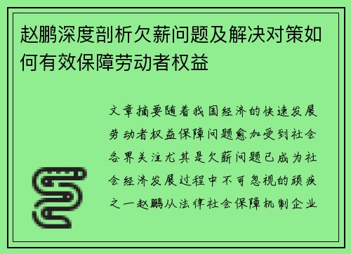 赵鹏深度剖析欠薪问题及解决对策如何有效保障劳动者权益